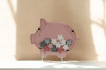 Reward+Piggy+Bank+Drop+Box+with+FREE+feet+-+Acrylic